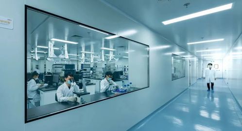 华发集团强化知识产权管理助力高质量发展 技术服务与技术开发的双轮驱动